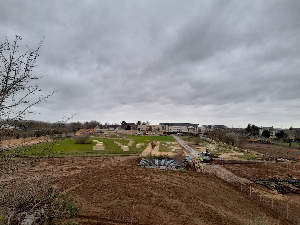 AMO écologue - Reconversion d'une friche