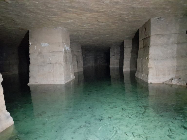 Assistance à maîtrise d'ouvrage écologue - Reconversion d'une friche