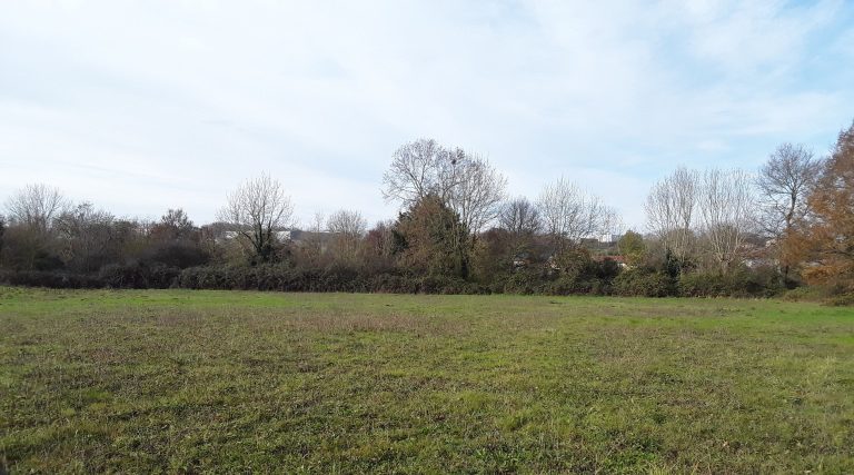 Délimitation de zones humides