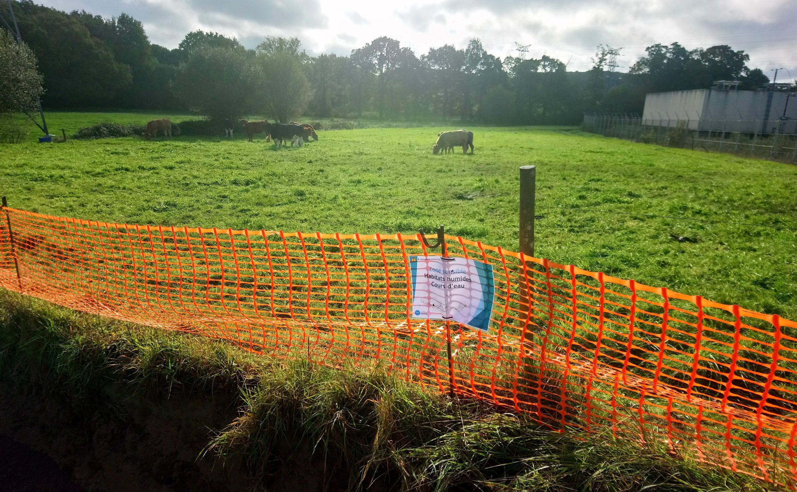 Protection de zones humides - Balisage