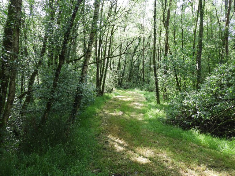 Suivi naturaliste de mesures compensatoires