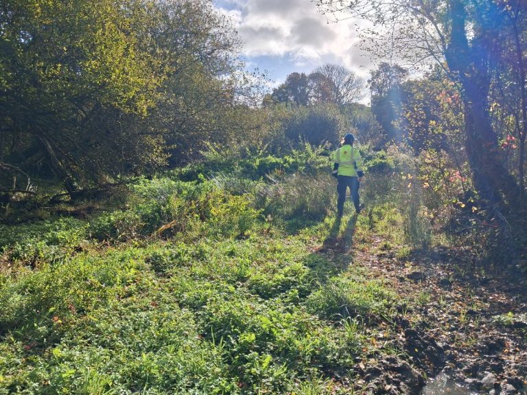 Analyse de foncier compensatoire zones humides