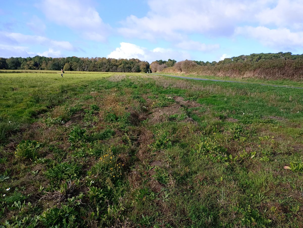 Analyse de foncier compensatoire zones humides