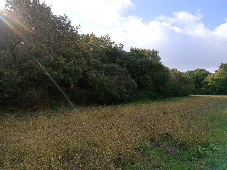 Analyse de foncier compensatoire zones humides