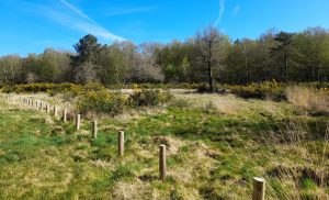 Mise en défens d'habitats naturels - Piquets bois