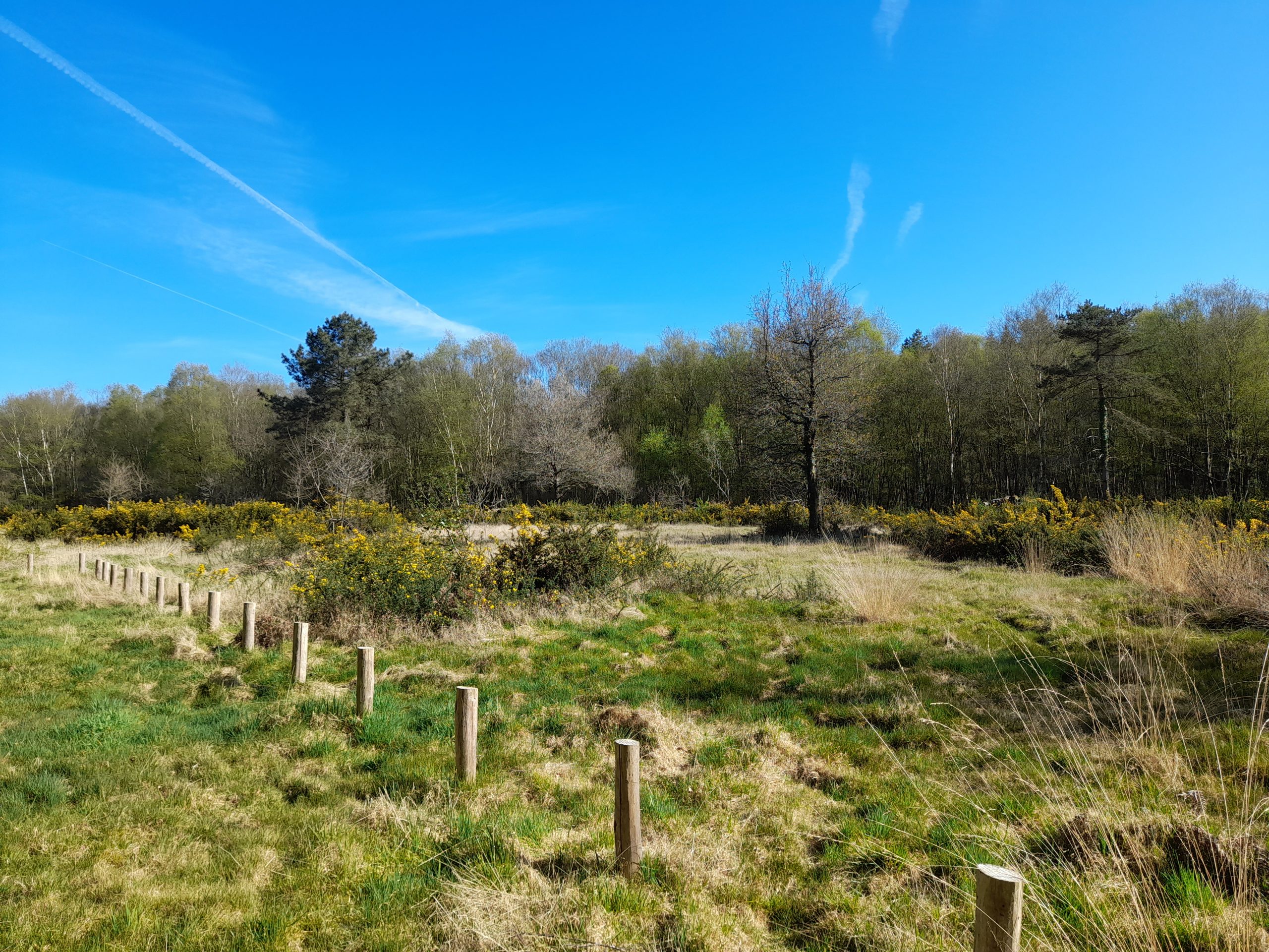Mise en défens d'habitats naturels - Piquets bois