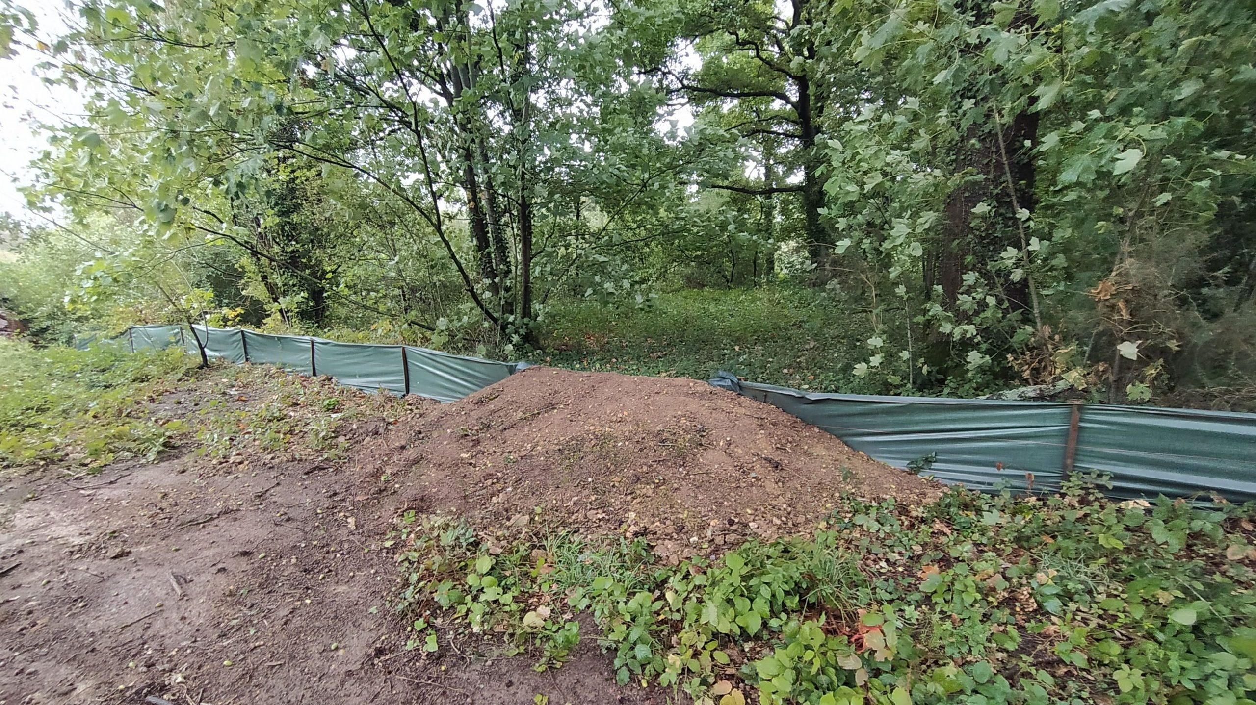 Rampe de sortie pour amphibiens