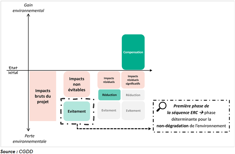 Schéma du bilan écologique de la séquence ERC