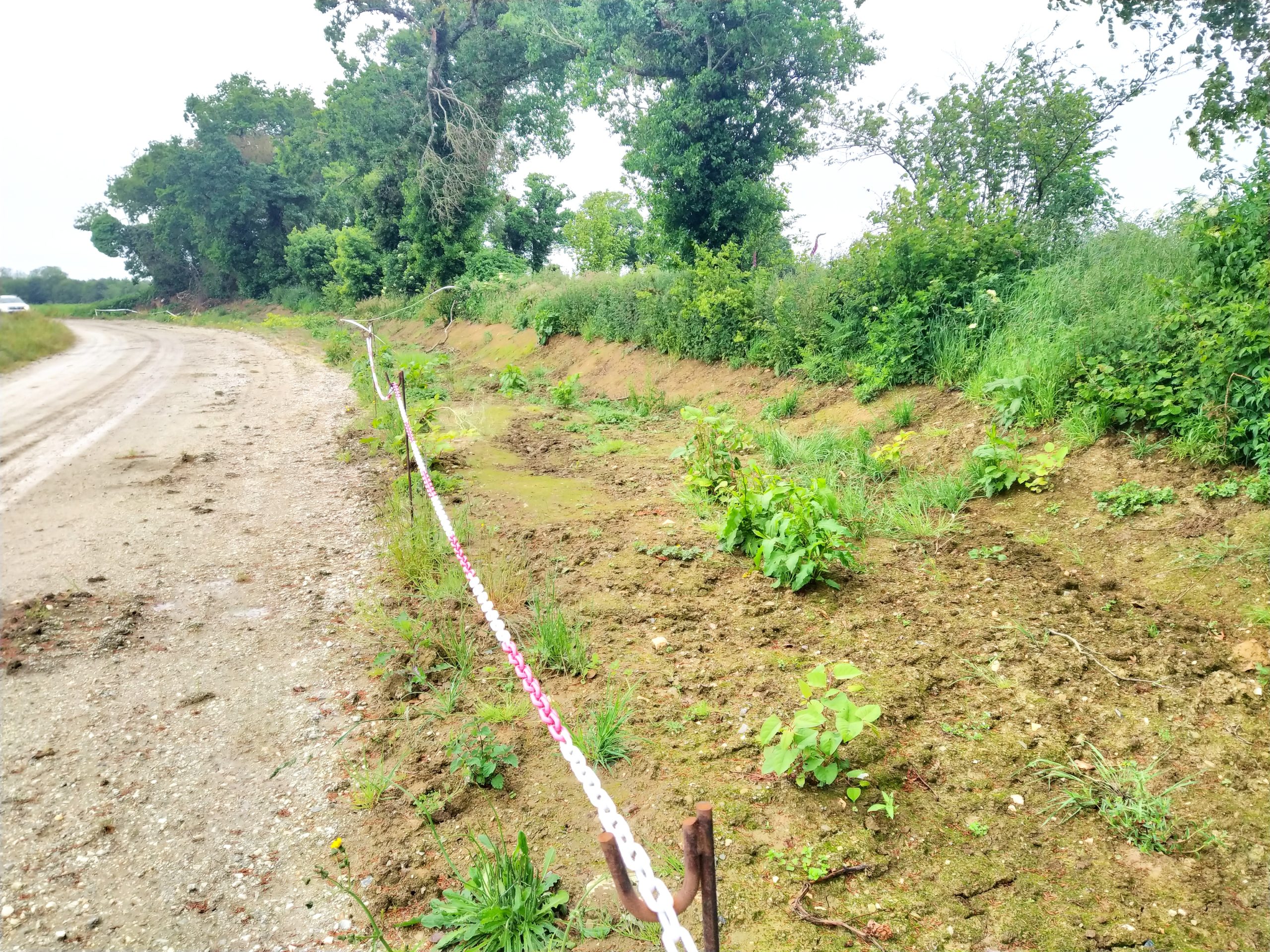 Mise en défens espèces invasives