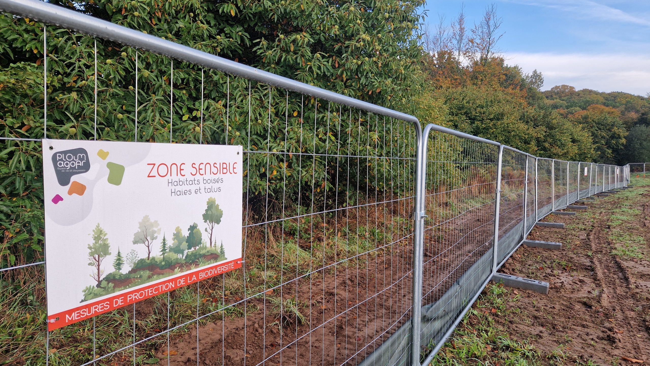 Mise en défens des enjeux écologiques - Protection de haie