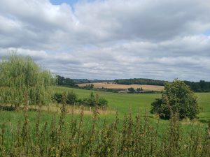 Volet paysager des études réglementaires