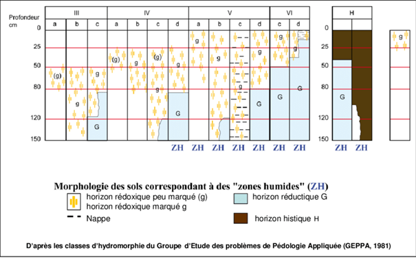 Classes d’hydromorphie des sols